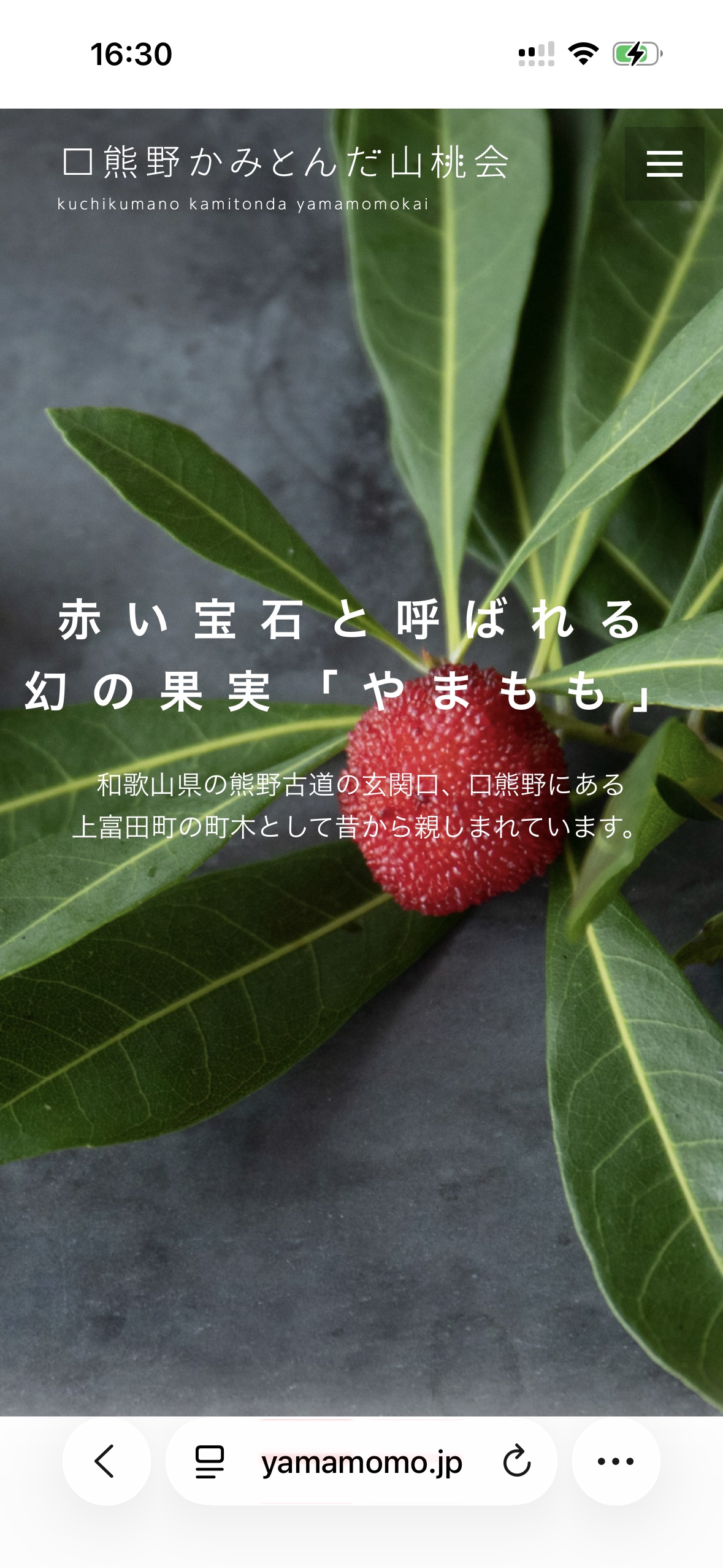 スマートフォン